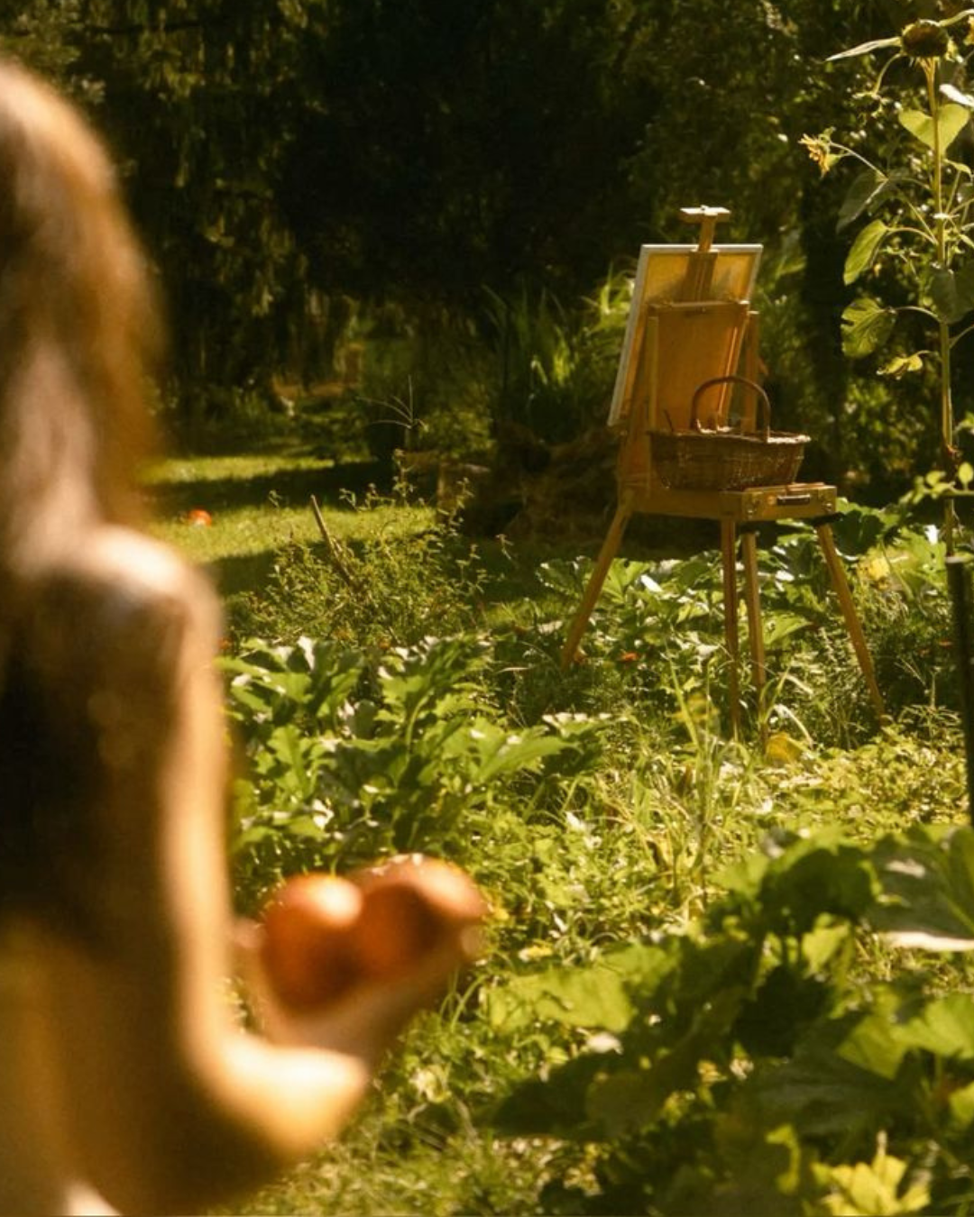 Resistencia a la insulina en México & las Mujeres