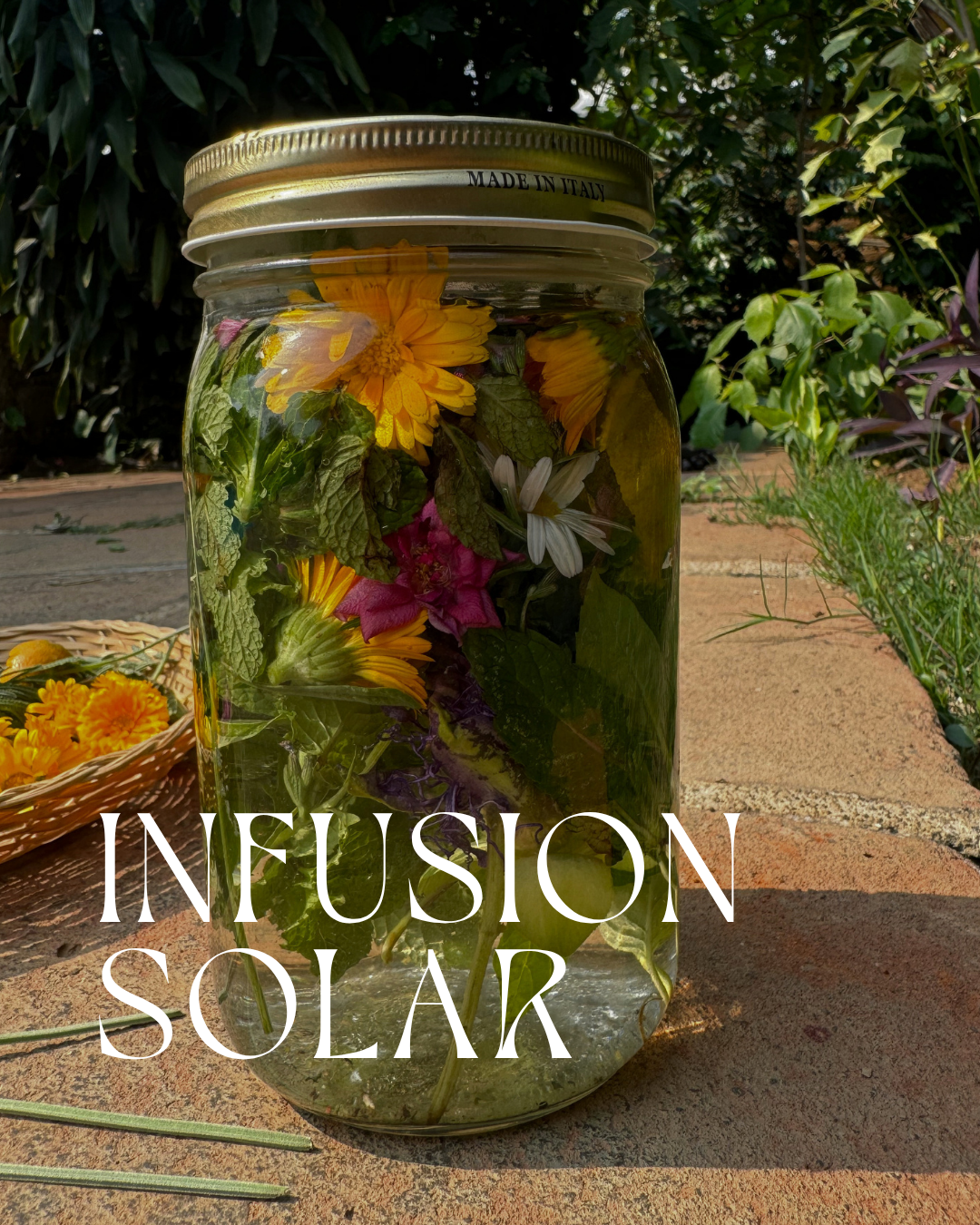 Infusión Solsticio de Verano (Litha): una celebración al sol, la abundancia y la medicina del verano