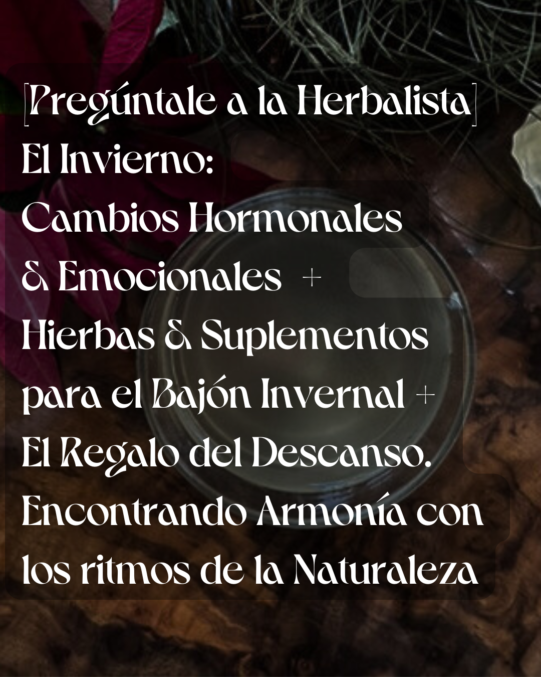 [Pregúntale a la Herbalista] El Invierno: Cambios Hormonales  & Emocionales  +  Hierbas & Suplementos  para el Bajón Invernal +  El Regalo del Descanso.  Encontrando Armonía con  los ritmos de la Naturaleza