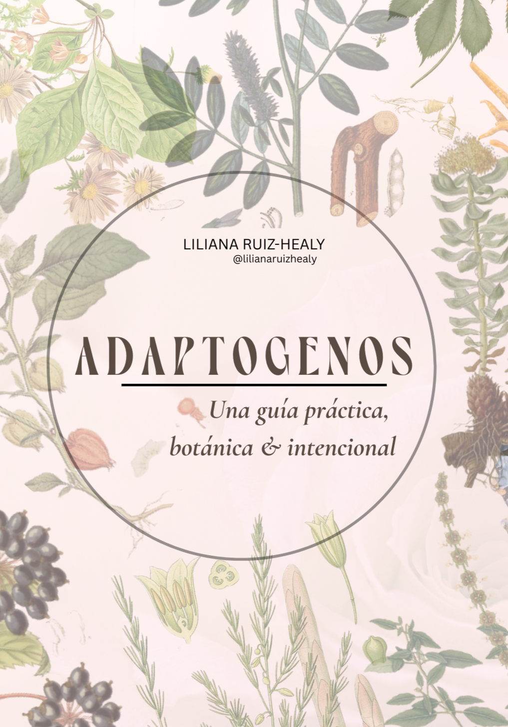 adaptogenos liliana ruiz healy herbolaria mexico guia