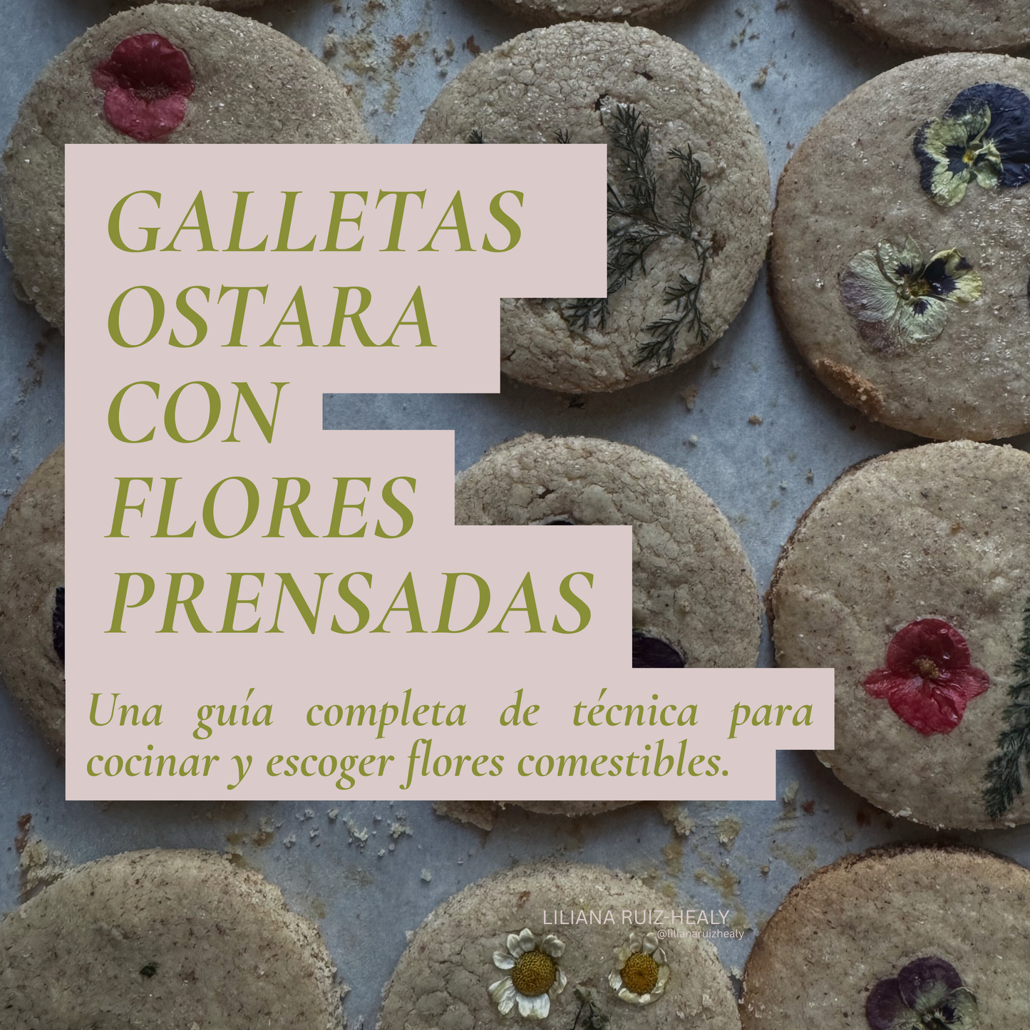 GALLETAS FLORALES