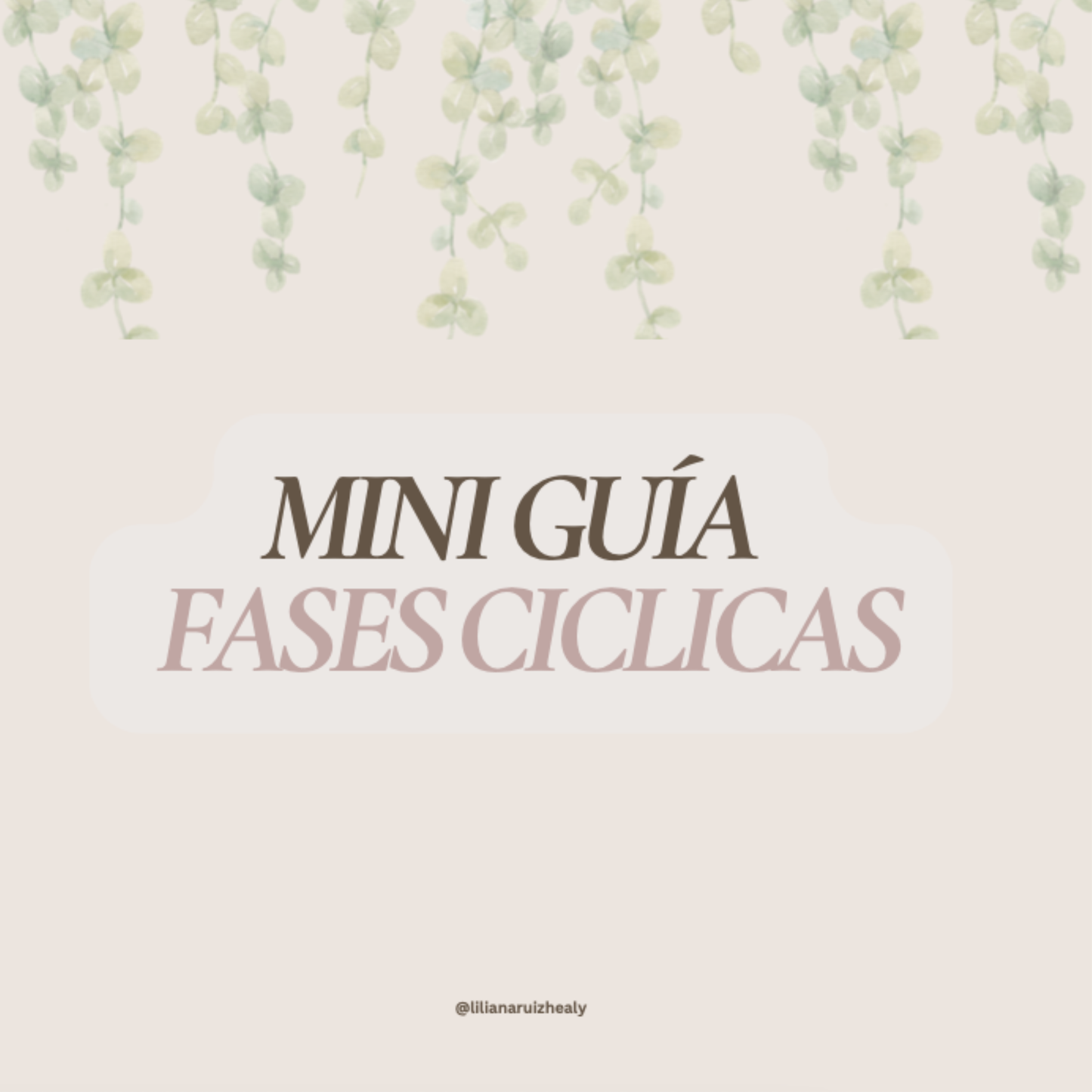 MINI GUIA: LAS FASES DE TU CICLO