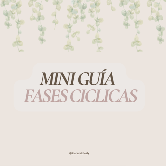 MINI GUIA: LAS FASES DE TU CICLO
