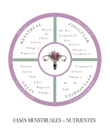 BOTICA & DESPENSA CICLICA: Tu guía completa de hierbas, alimentos & fases de tu ciclo