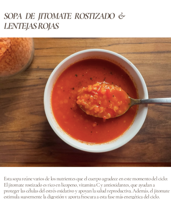 BOTICA & DESPENSA CICLICA: Tu guía completa de hierbas, alimentos & fases de tu ciclo