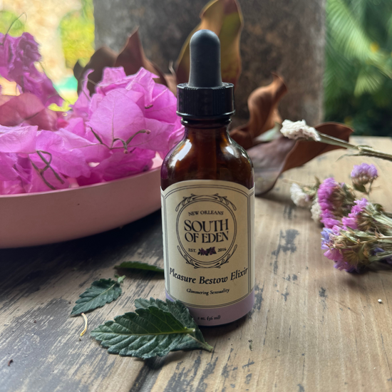 herbolaria liliana ruiz healy afrodisiaco damiana