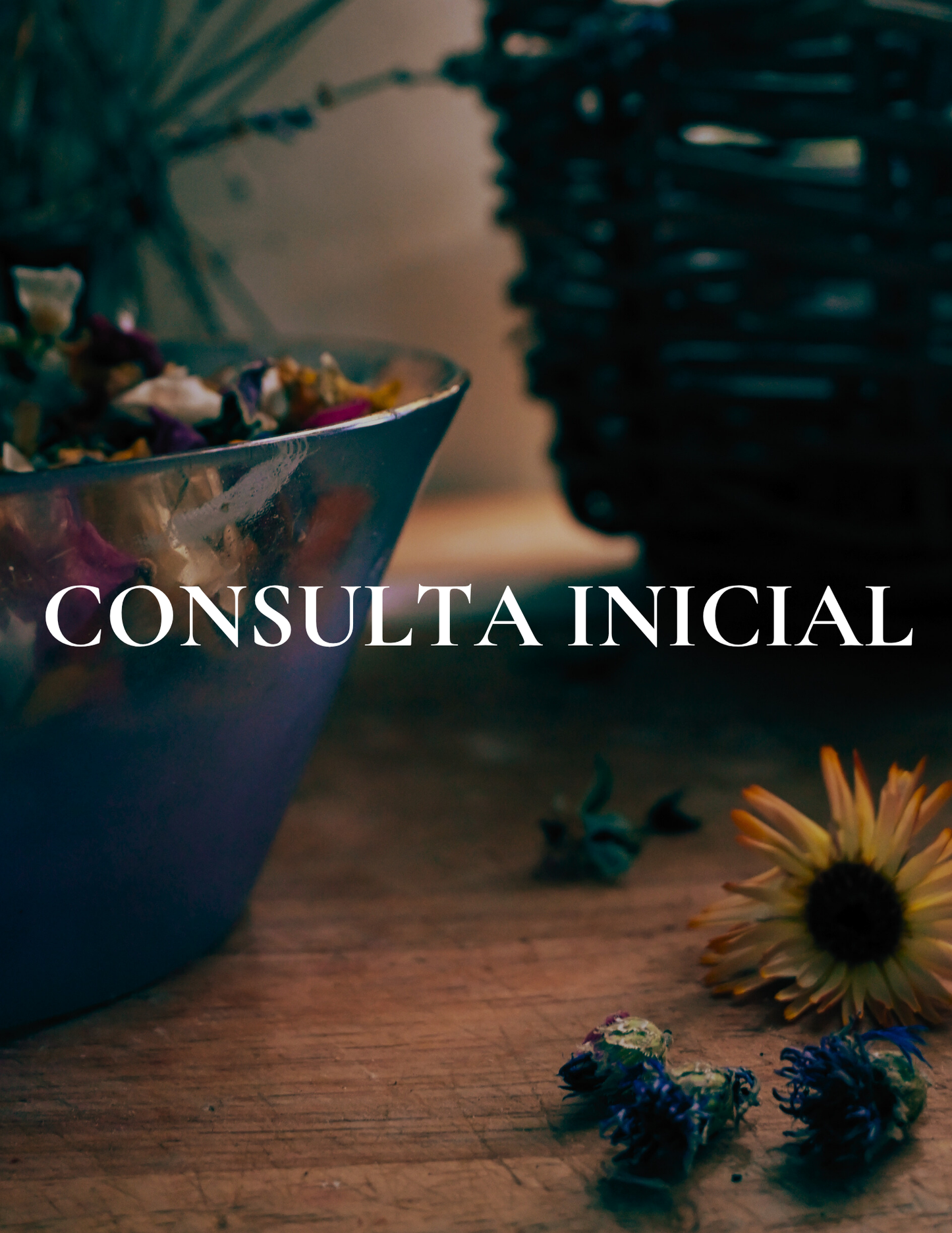 consulta inicial liliana ruiz healy