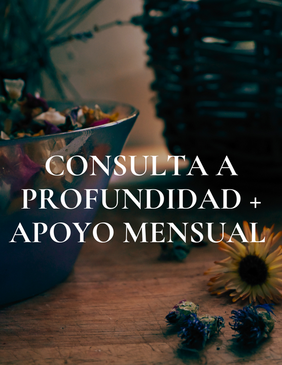 Consulta a Profundidad