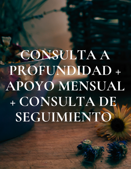 Consulta a Profundidad + Apoyo + Seguimiento Mensual