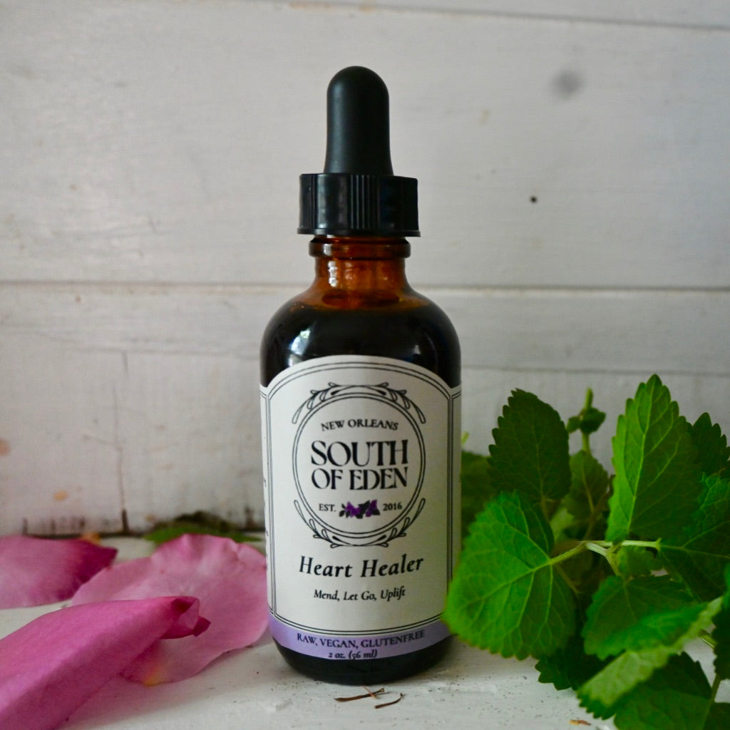 Heart Healer: Sana el Corazón