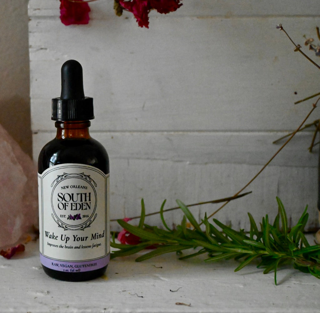 Wake Up Your Mind: Despierta Tú Mente