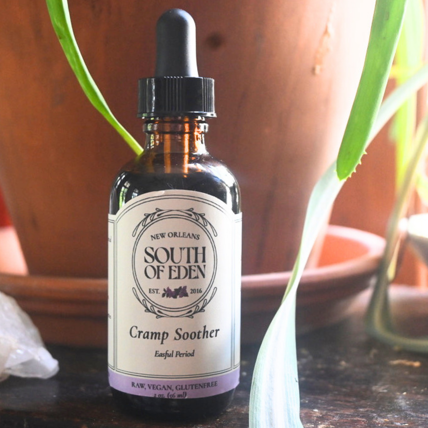 remedios naturales colicos menstruales mexico herbolaria