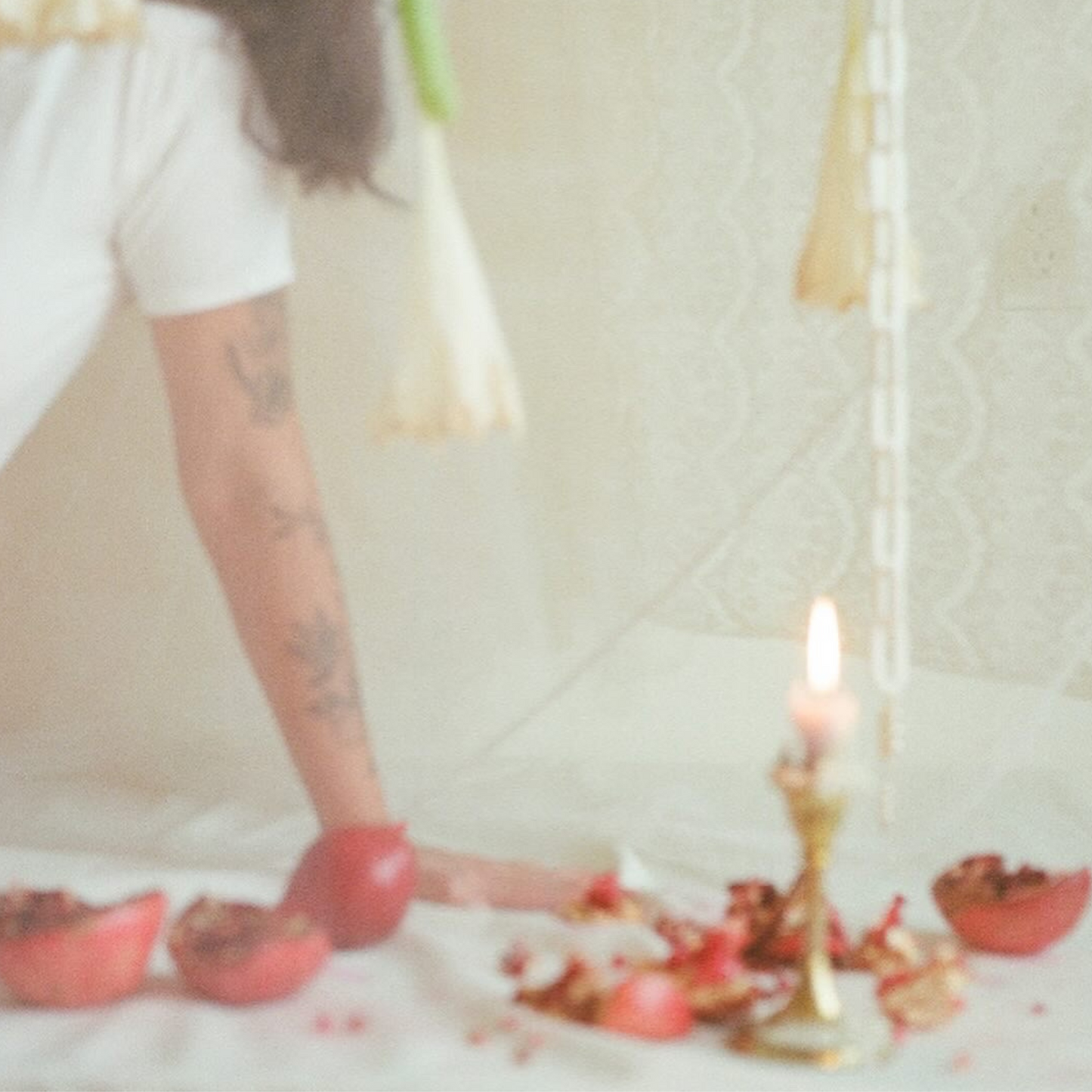 salud funcional salud de la mujer herbolaria liliana ruiz healy hormonas salud nutricion